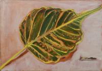 Leaf and Nail